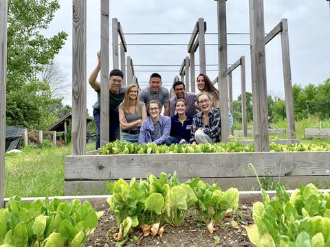 Group members next to a patch of spinach